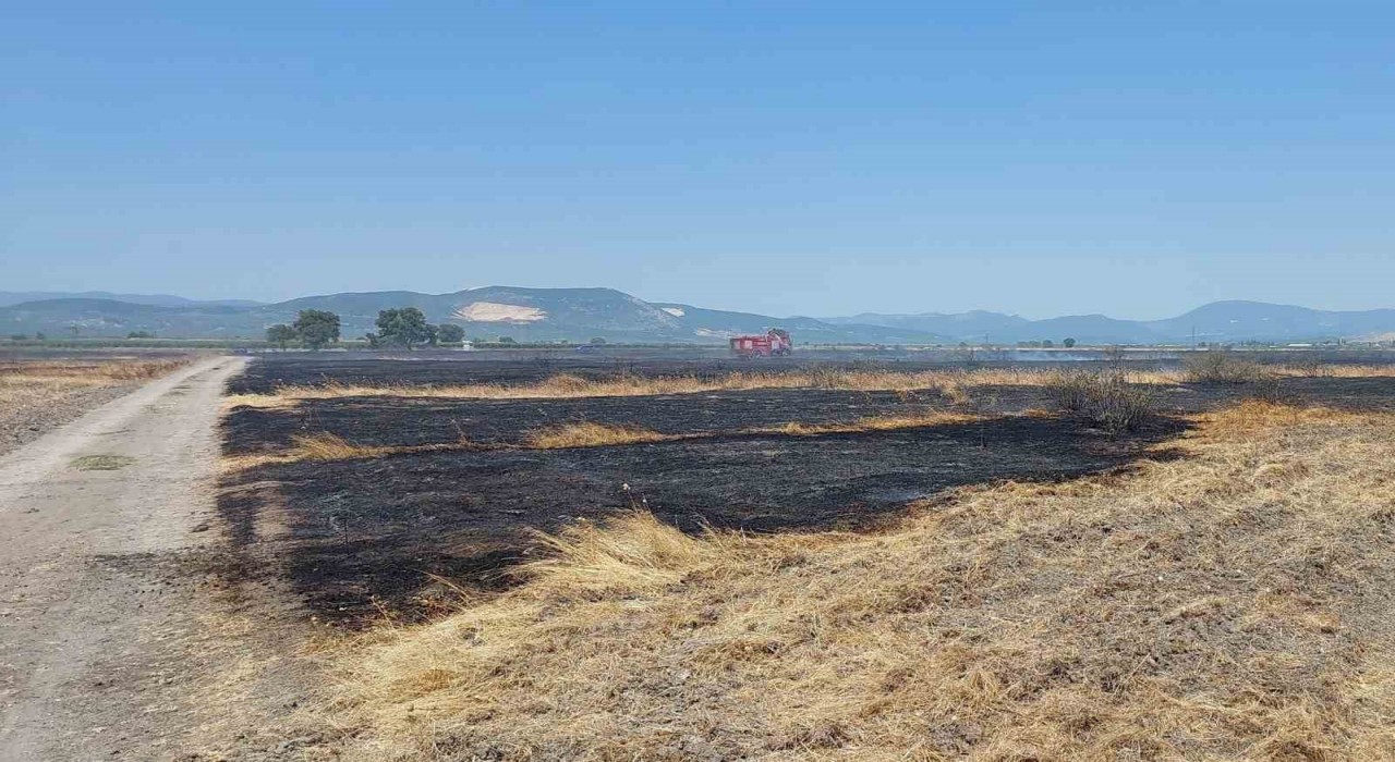 Merada çıkan yangında 200 dekar alan etkilendi
