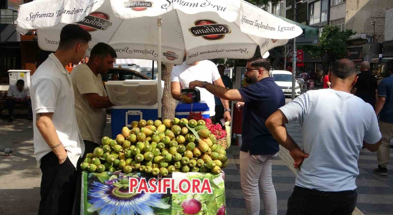Mersinde doğada kendiliğinden yetişen dikenli incir seyyar tezgahlarda