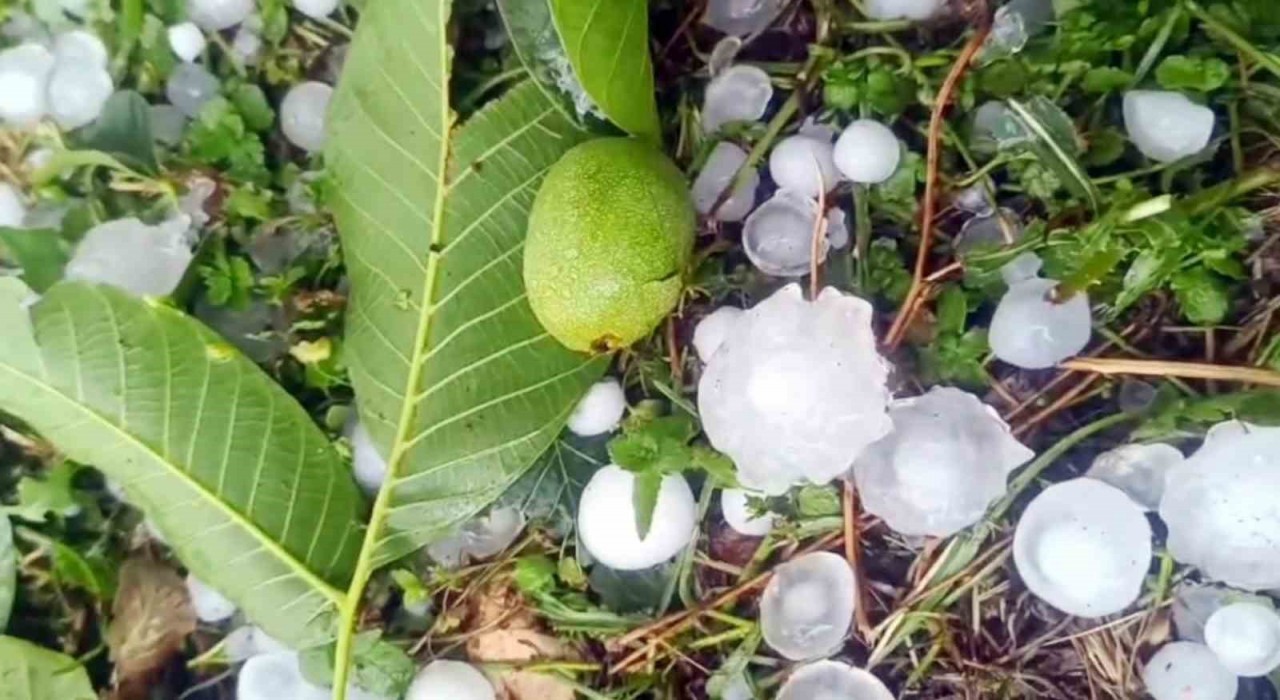 Mersinde şiddetli dolu yağışı etkili oldu