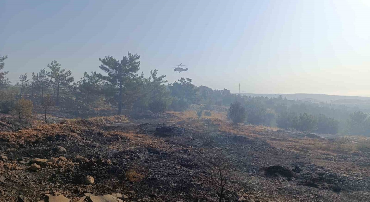 Mersindeki orman yangını: Havadan müdahale başladı