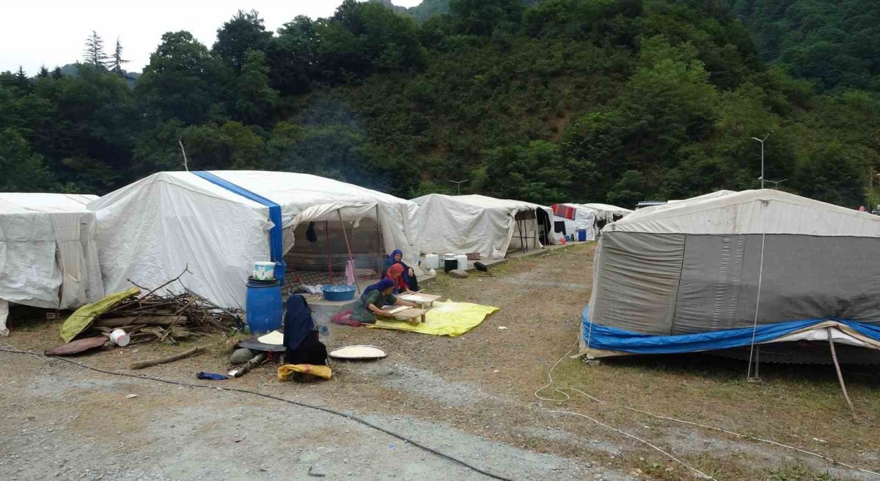 Mevsimlik tarım işçileri fındık hasadı için Orduda
