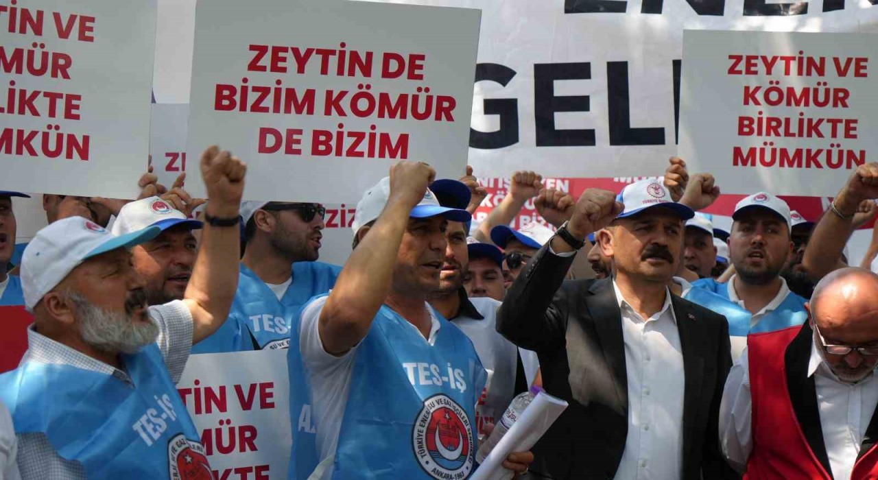 Milaslı muhtarlar ve TES-İŞten Maden Yasasına destek: Köylerimiz ve zeytinlerimiz yok olmayacak