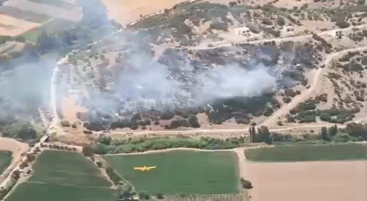 Milastaki yangın kontrol altına alındı