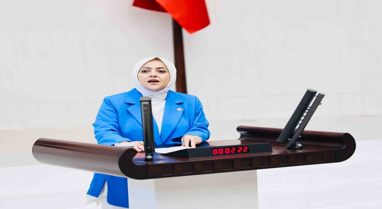 Milletvekili Ün; Vahşi madencilik kar dışında hiçbir değeri tanımıyor