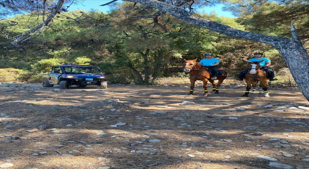 Milli Parkta yasak bölgeye giren 5 kişiye para cezası uygulandı
