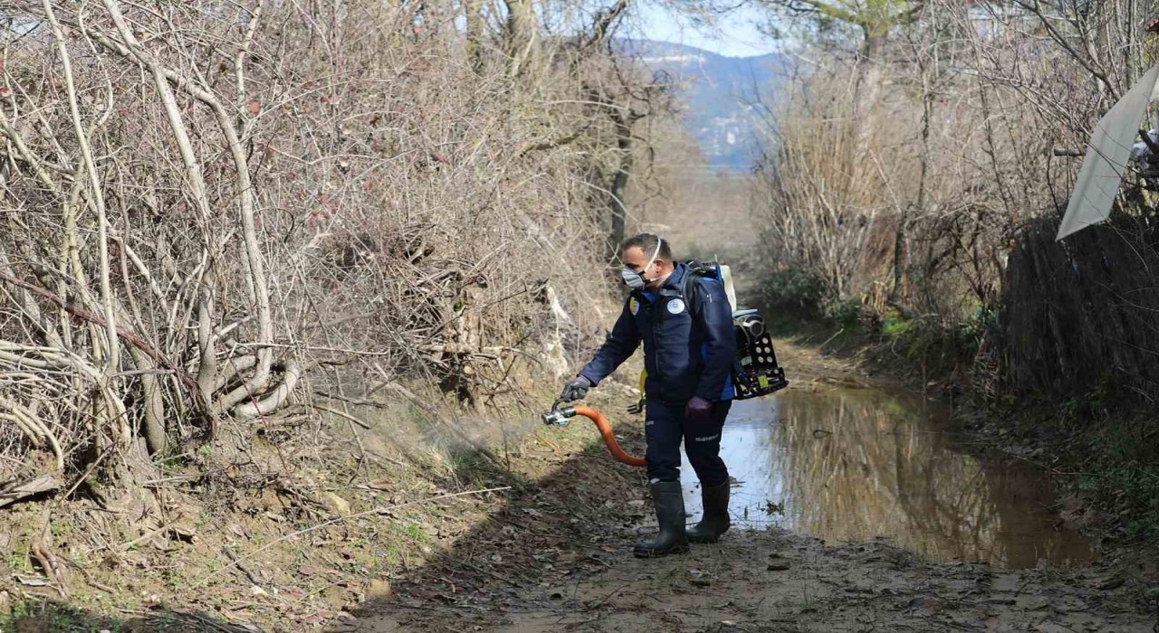 Muğla Büyükşehirden 13 ilçede vektörle mücadele