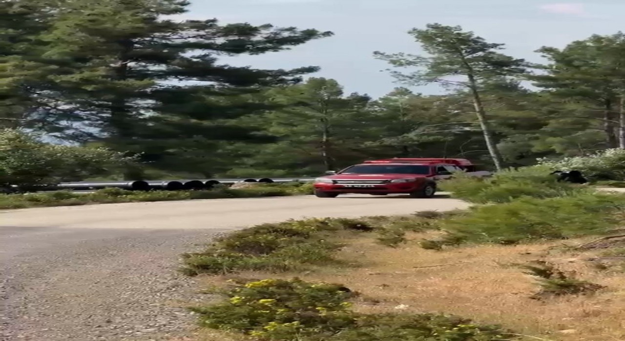 Muğlada kurumlar yaz aylarında doğayı korumak için teyakkuzda