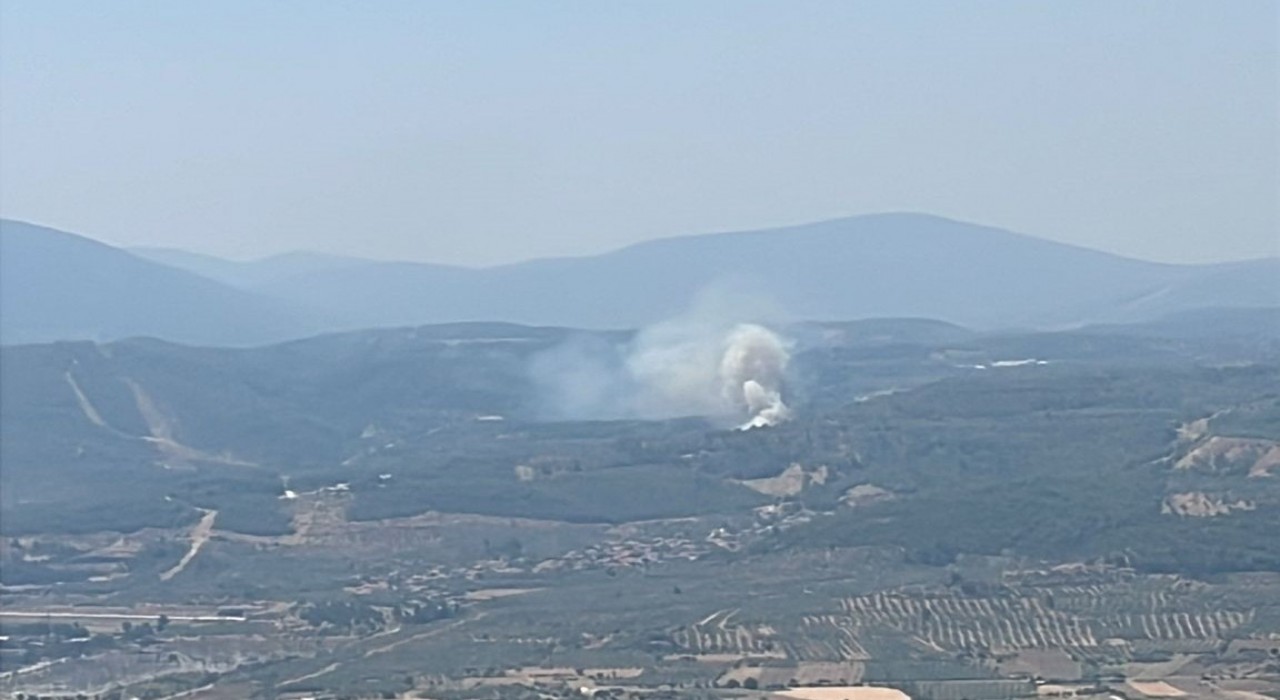 Muğlada orman yangını