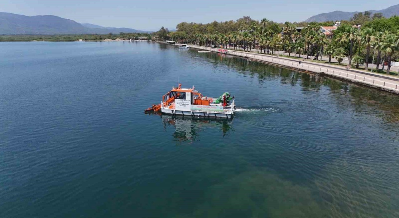 Muğlanın doğal güzellikleri Büyükşehir eliyle korunuyor