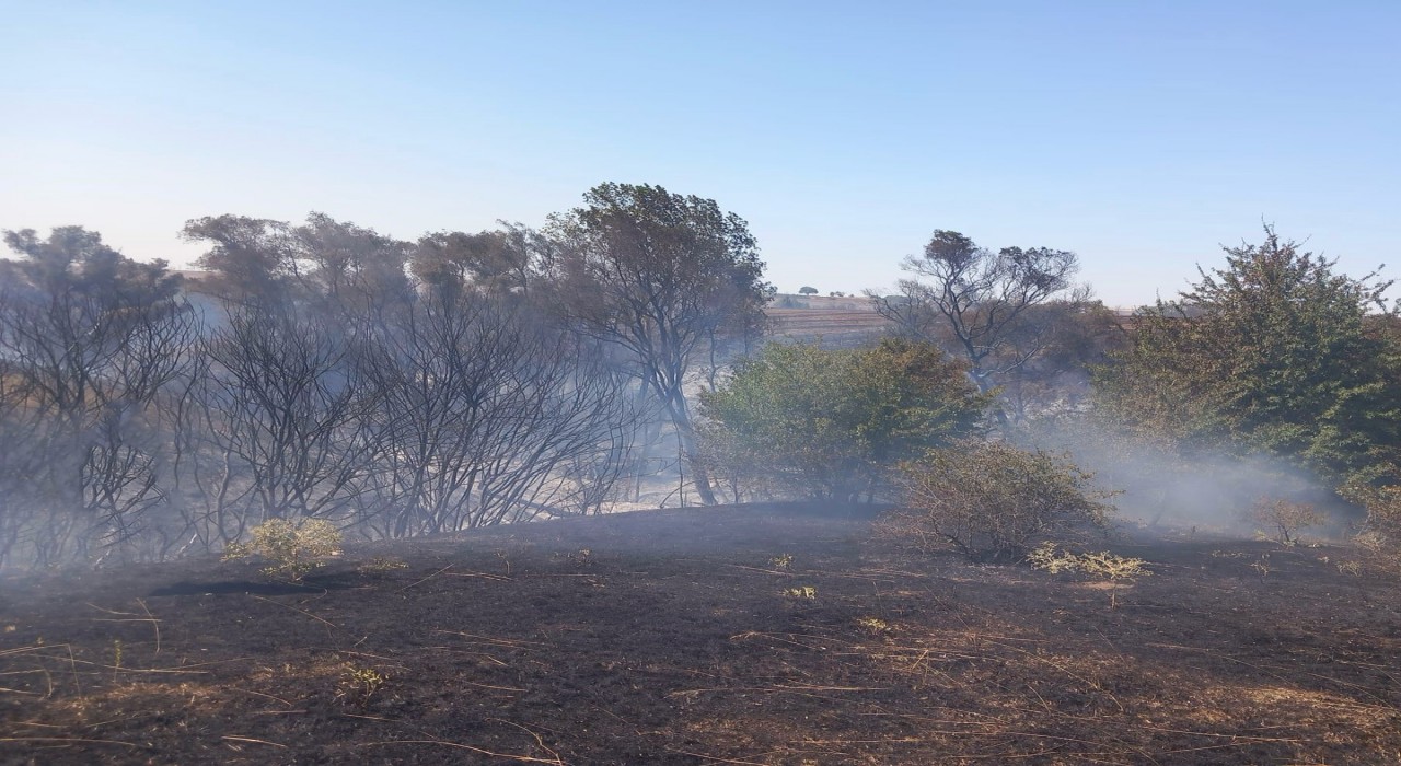 Muratlıda anız yangını