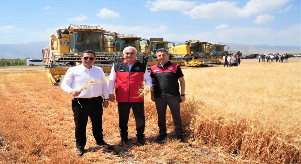 Muşta milyarlık hasat başladı