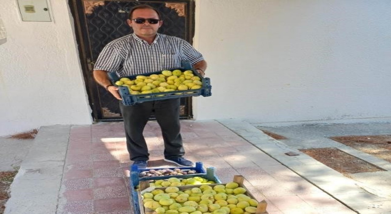 Mutta beyaz incir hasadı başladı