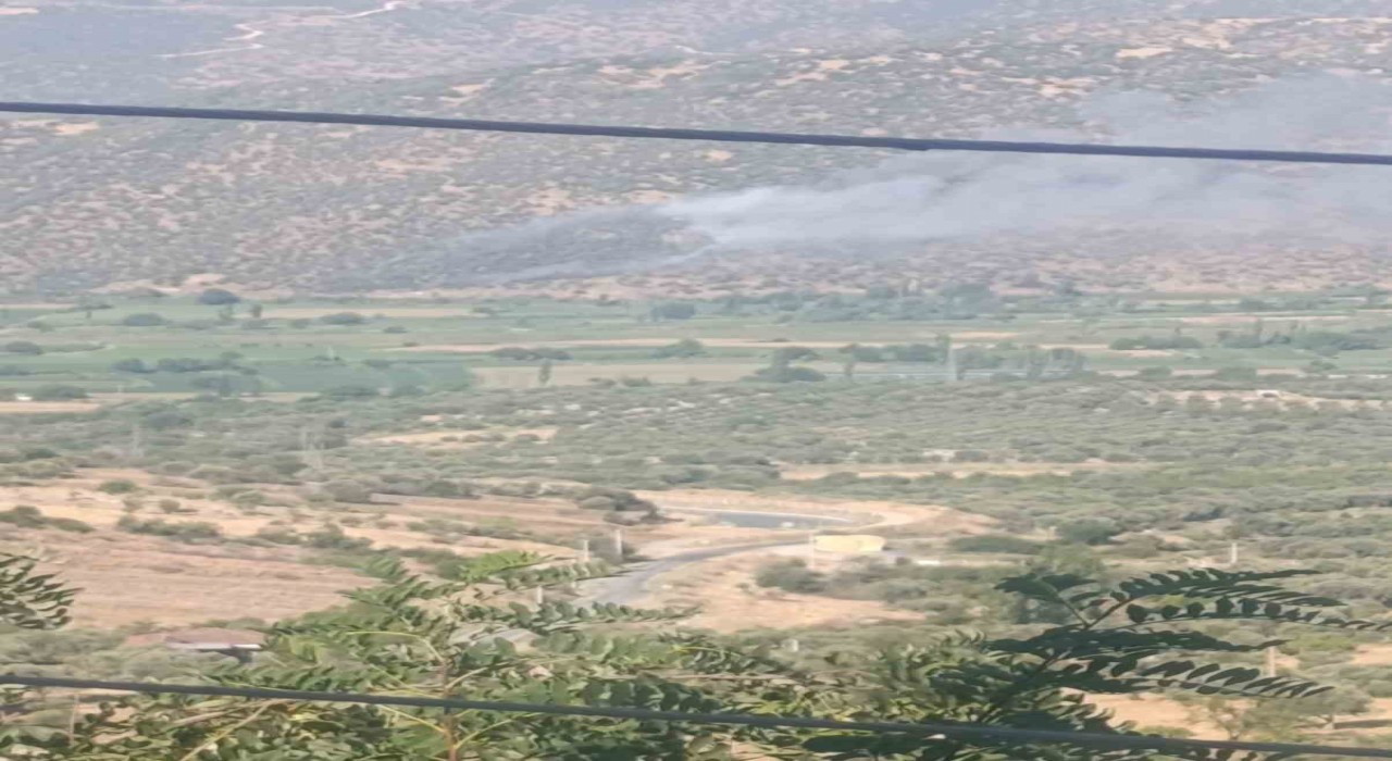 Nazillide makilik ve zirai alan yangını