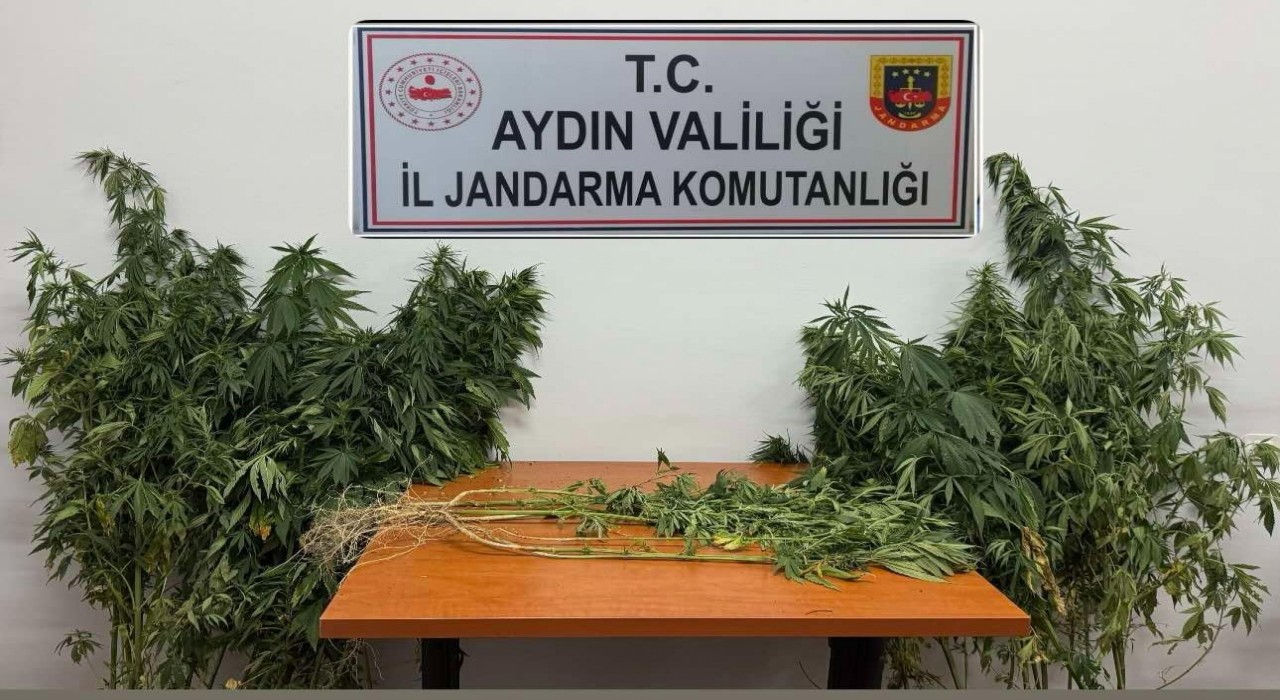 Nazillide uyuşturucu operasyonu