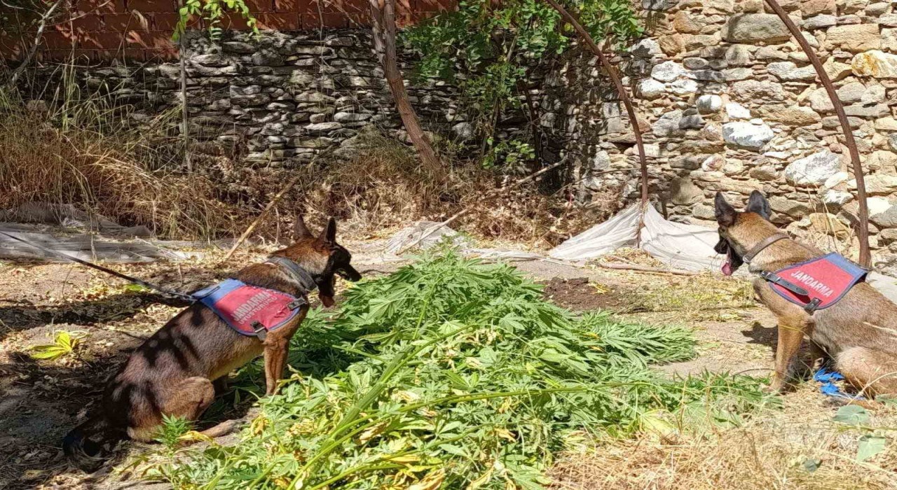 Nazillide uyuşturucu operasyonu