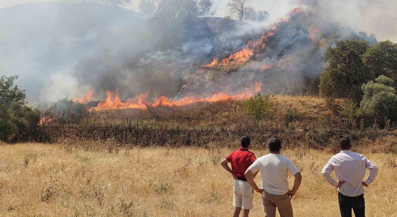 Nazillide zirai alanda çıkan yangın kontrol altına alındı