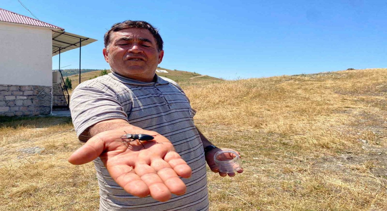 Öldürmenin cezası 557 bin TL, Sivasta görüldü