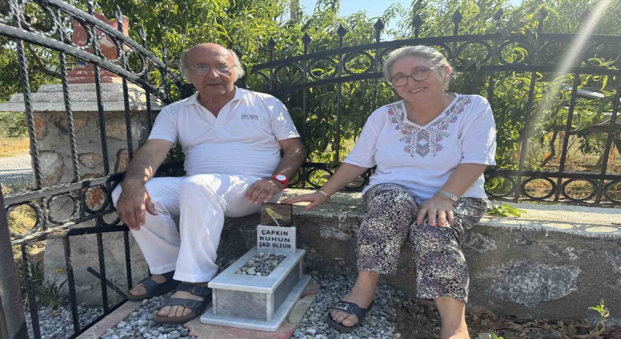 Ölen muhabbet kuşu için mermerden mezar yapıp gömdüler