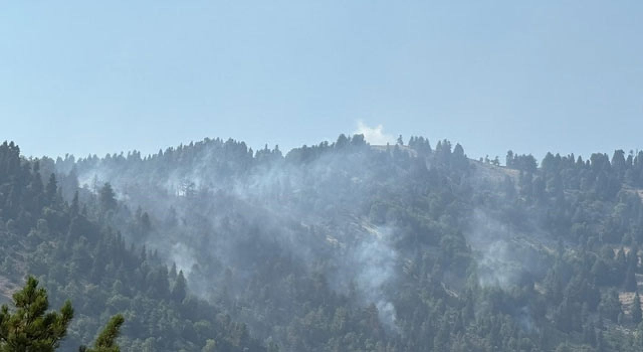 Orman Yangını Kontrol Altına Alındı: 30 Dekar Alan Zarar Gördü