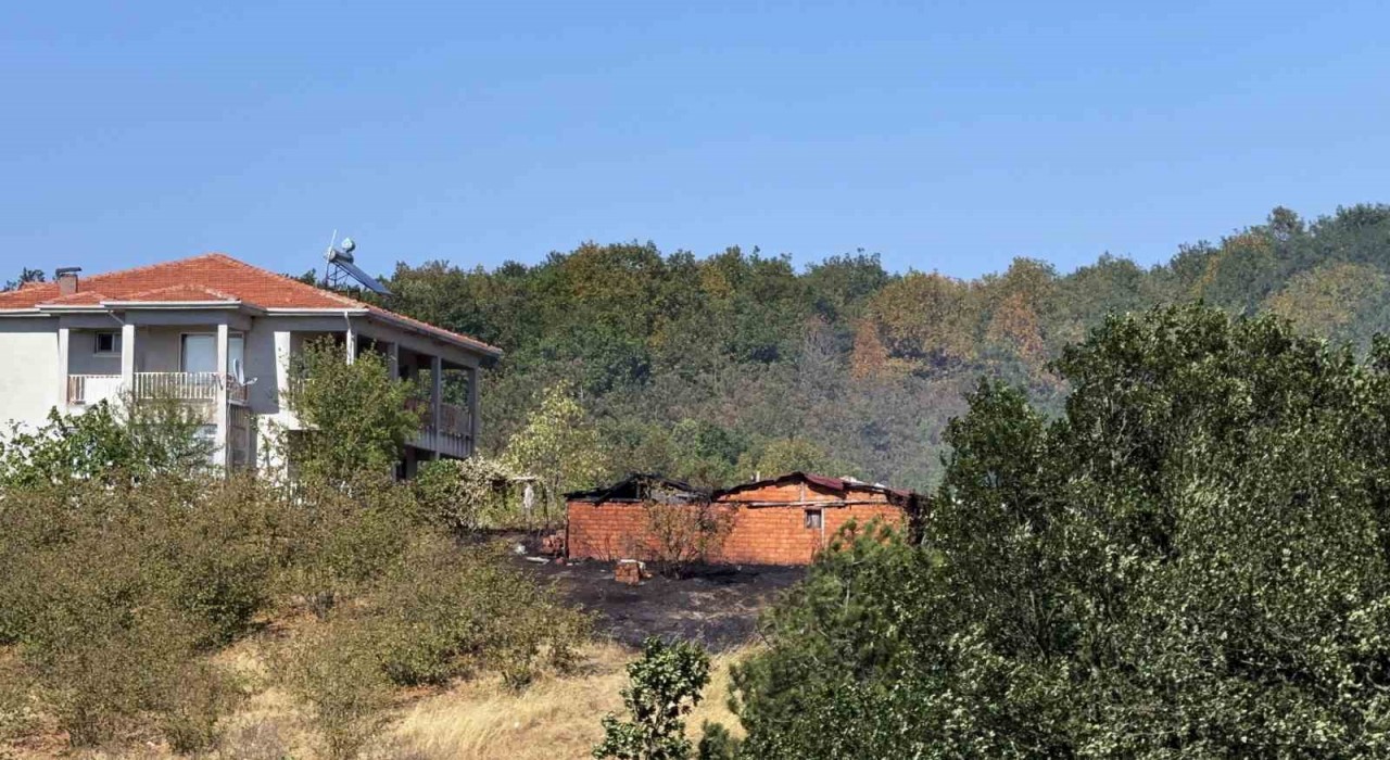 Orman yangınına müdahale sürüyor: Ekiplerin yanı sıra vatandaşlar da seferber oldu