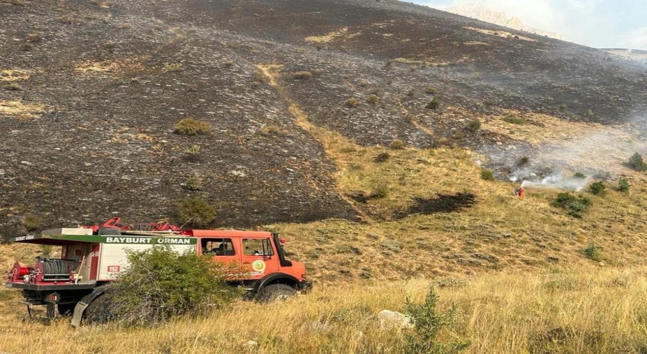 Orman yangınında yapılması gerekenler sıralandı