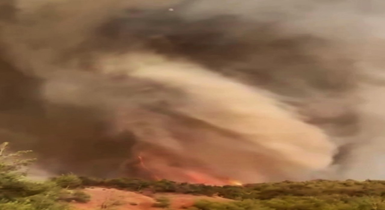 Orman yangınının en çarpıcı görüntüsü: Alevler adeta hortum oluşturdu