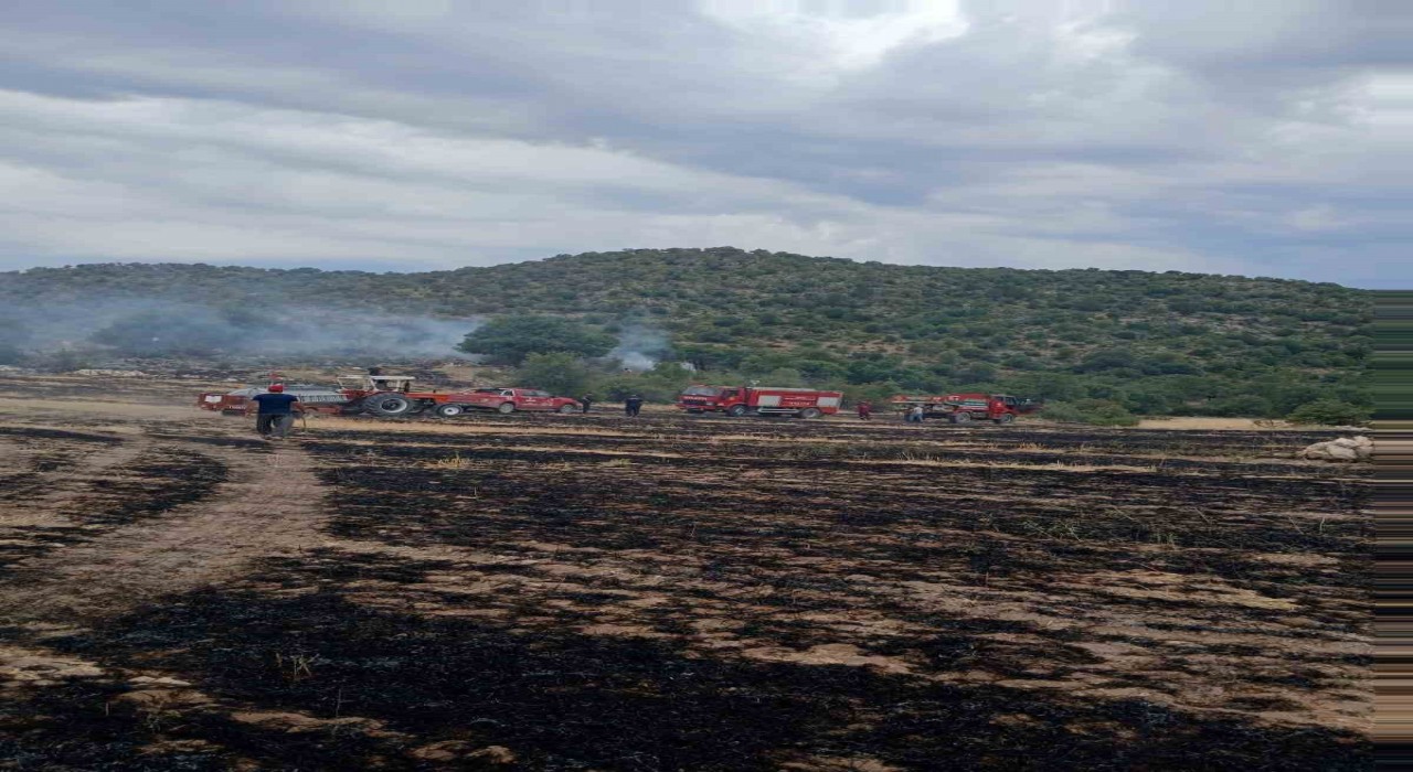 Ormana sıçrayan anız yangını korkuttu