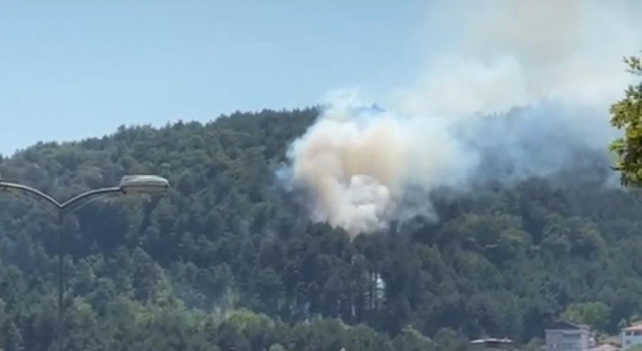 Örtü yangını büyümeden söndürüldü
