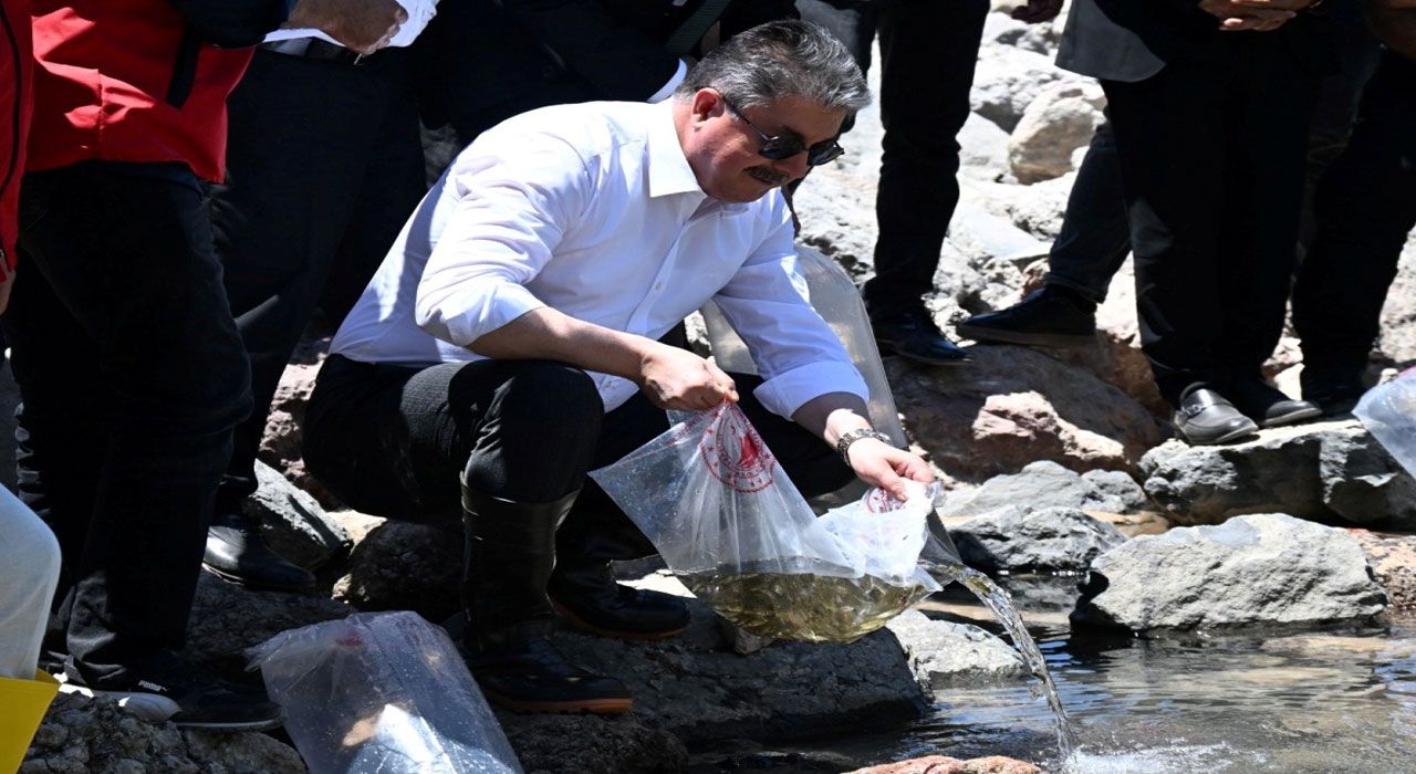 Osmaniye’de 10.000 Sazan Balığı Yavrusu Doğaya Bırakıldı
