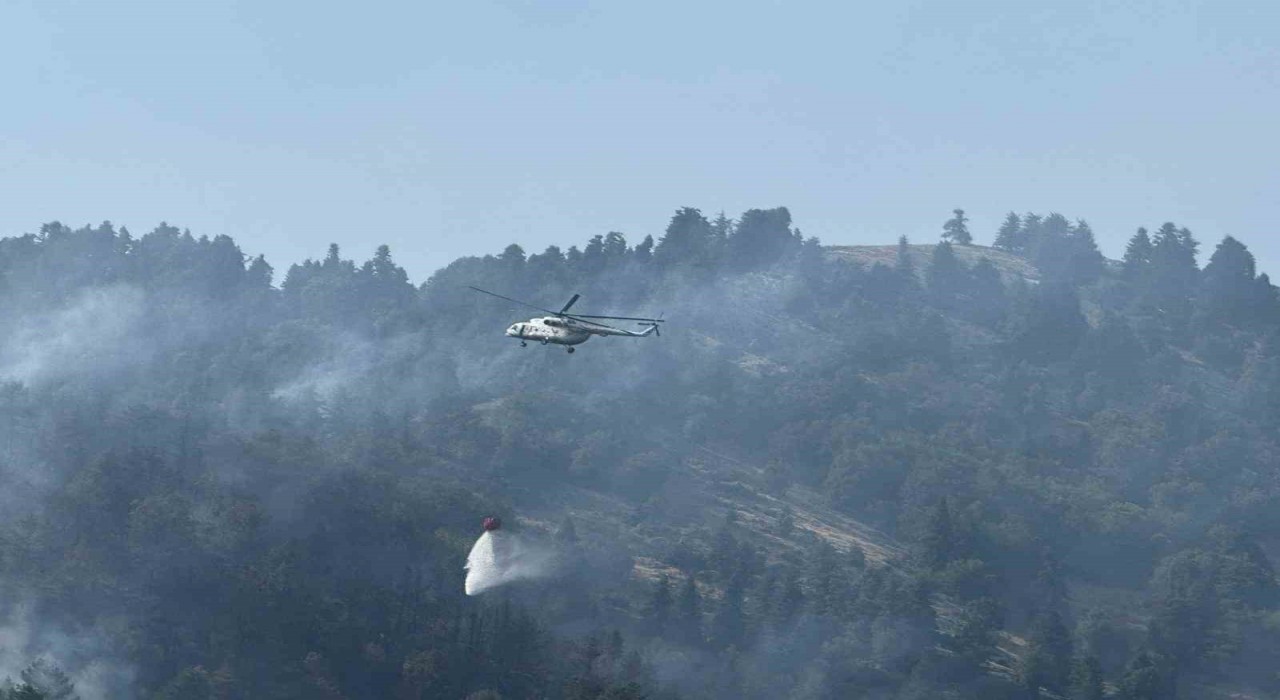 Osmaniyedeki orman yangını kontrol altına alındı
