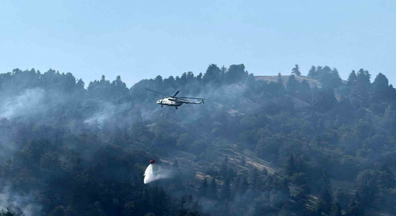Osmaniyenin çıkan orman yangını devam ediyor