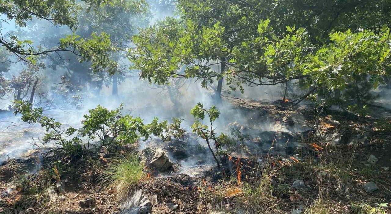 Osmaniyenin Düziçi ilçesinde orman yangını başladı