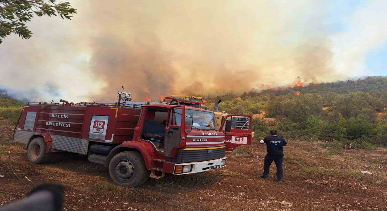 (ÖZEL) Orman yangınlarında var gücüyle çalışan itfaiyeciler hayvanlara da büyük şefkat gösteriyor