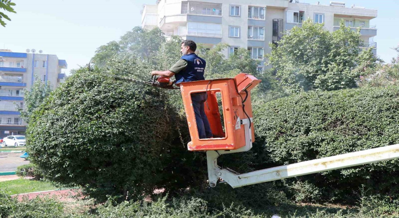 Parklarda yenileme ve güzelleştirme çalışması