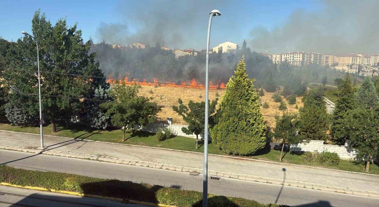 Parkta çıkan yangın paniğe sebep oldu