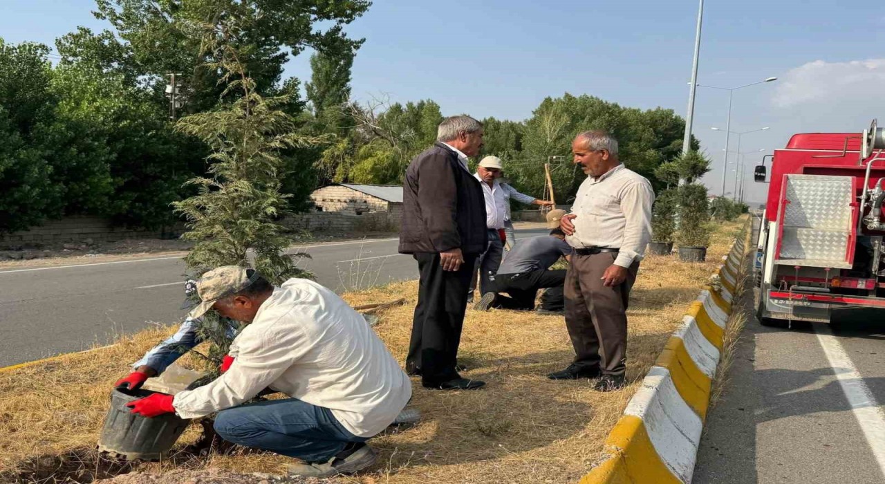 Patnosta yeşil alan çalışmaları sürüyor