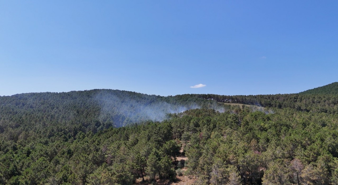 Pendikte ormanlık alanda çıkan yangına müdahale ediliyor