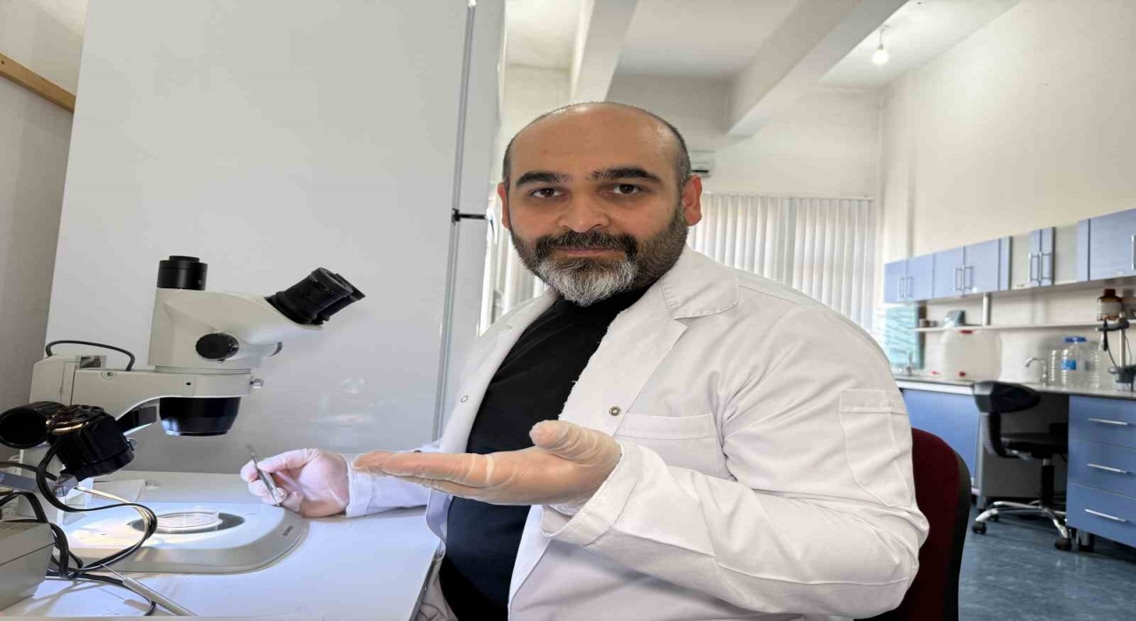 Prof. Dr. Keskin: Keneyi strese sokacak uygulamalardan kaçınalım