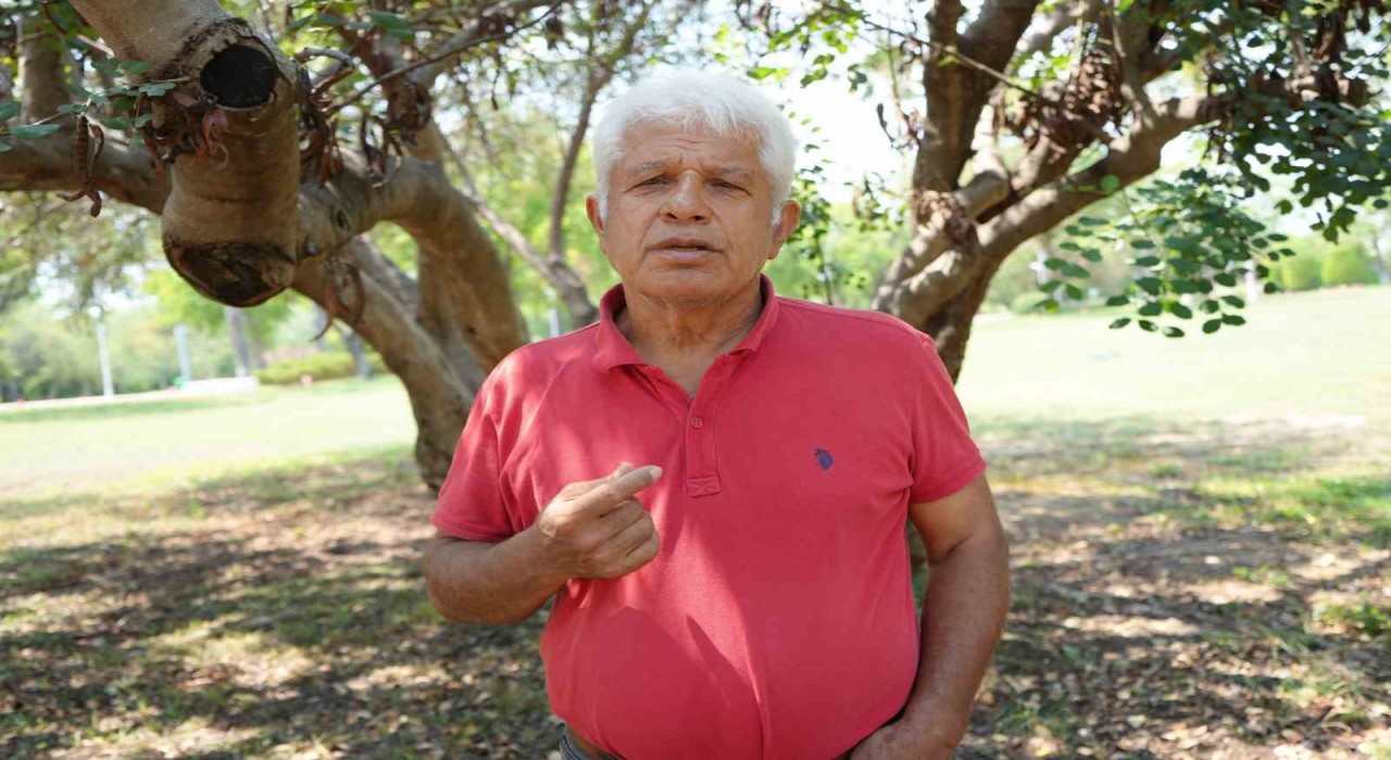 Profesörden denizlerin akciğerleri deniz çayırı uyarısı