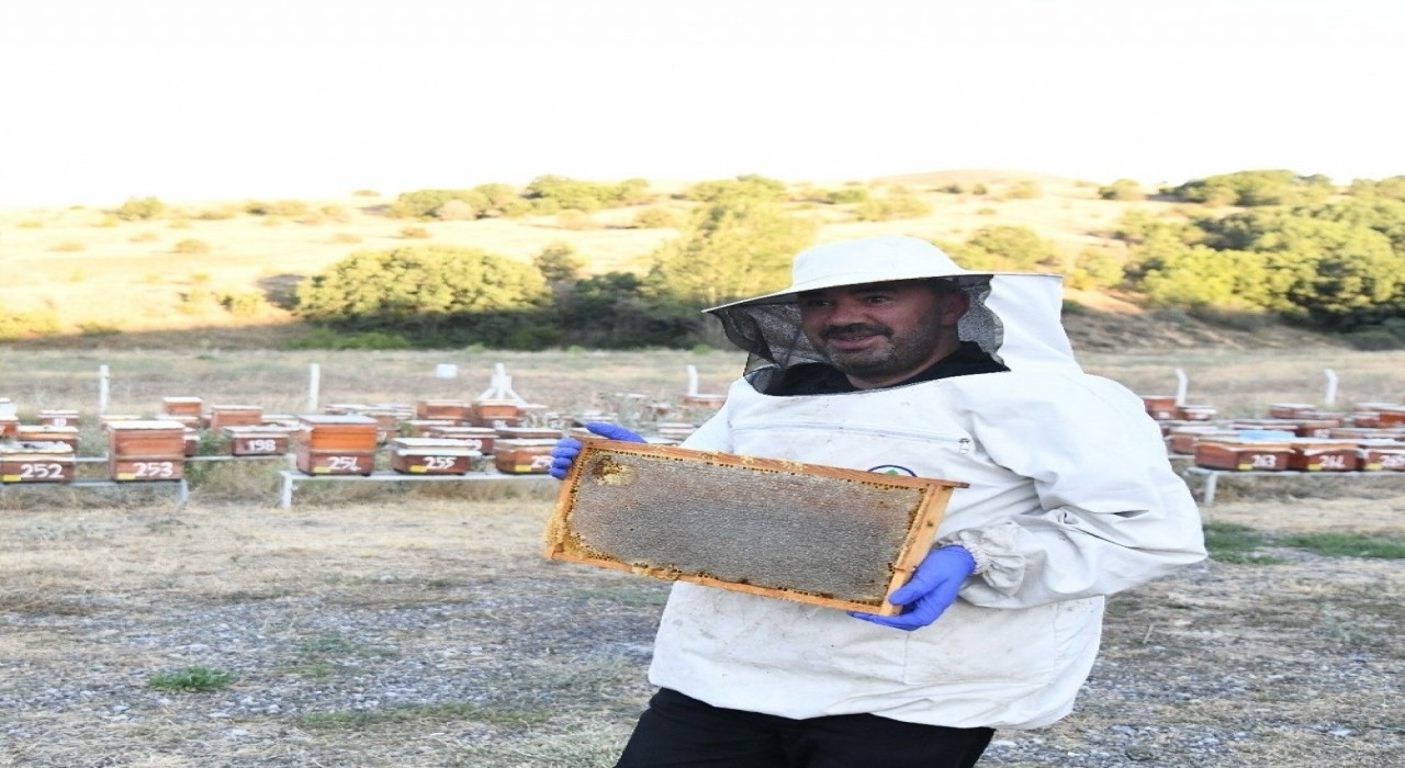 Pursaklarda bal hasadı başladı