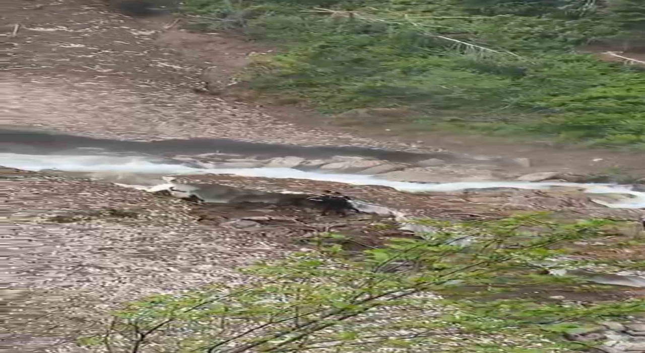 Rizede Galer Düzü Yaylasında kar kütlesi çöktü: Bir kişi aranıyor