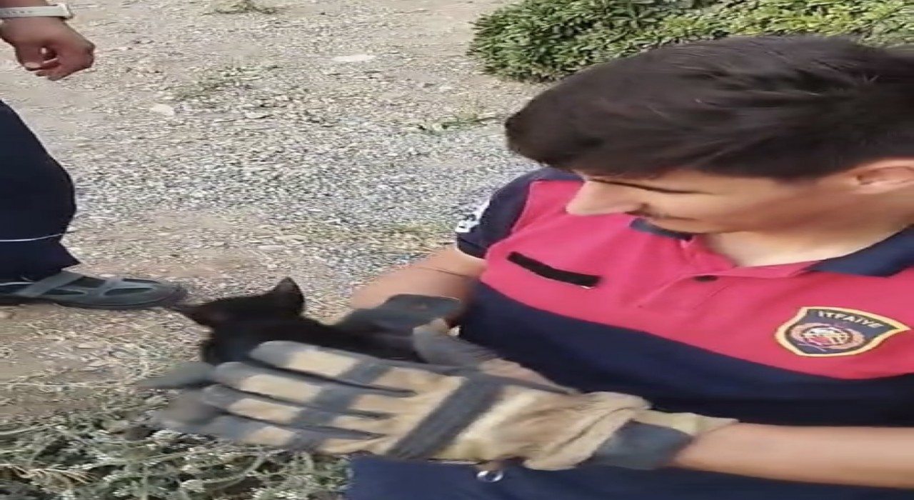 Rögara düşen yavru kediyi itfaiye ekipleri kurtardı