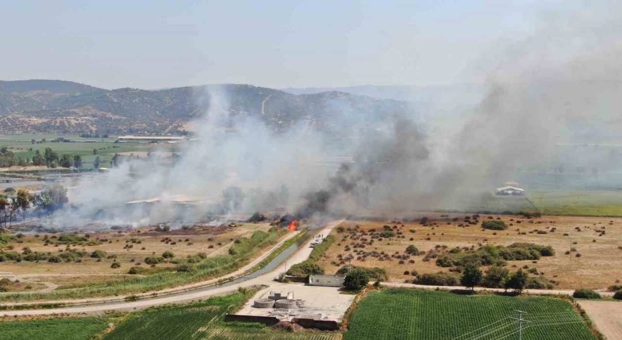 Rüzgarla büyüyen yangın, hayvan çiftliğini tehdit etti