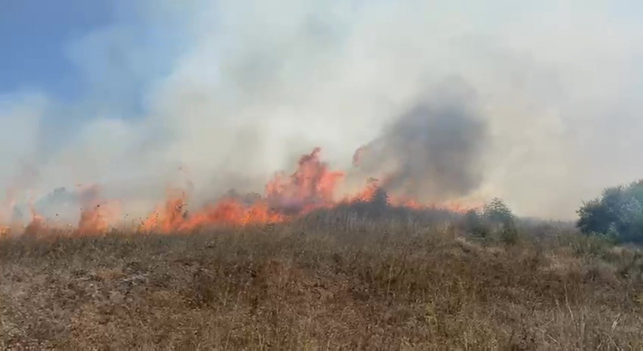 Sakarya Kaynarcada makilik alanda yangın çıktı