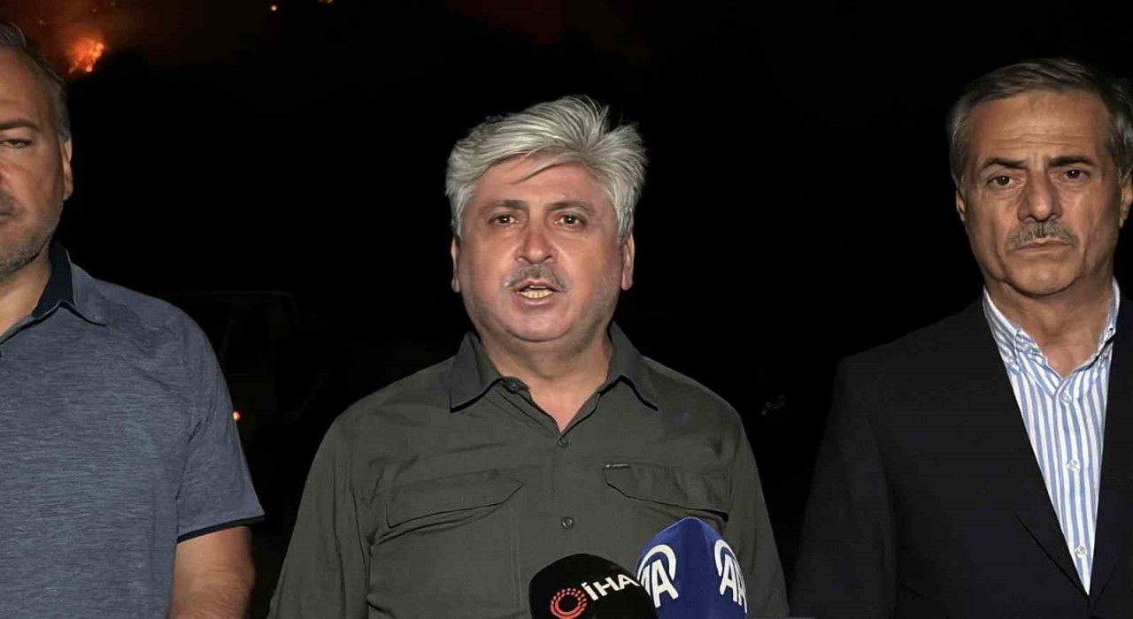 Sakarya Valisi Doğan: İki mahalleyi boşalttık, yangının ilerlediği mahallede tedbirleri aldık