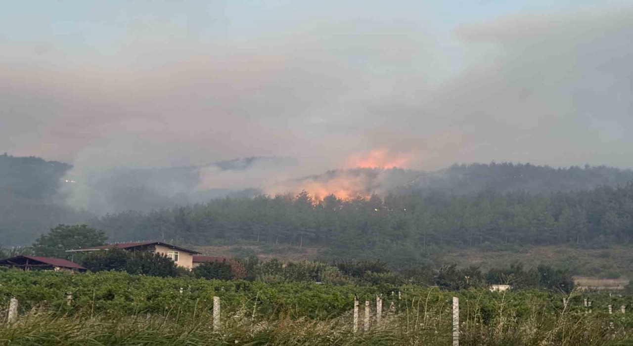 Sakaryada orman yangınına 8 helikopter, 5 uçak müdahale ediyor