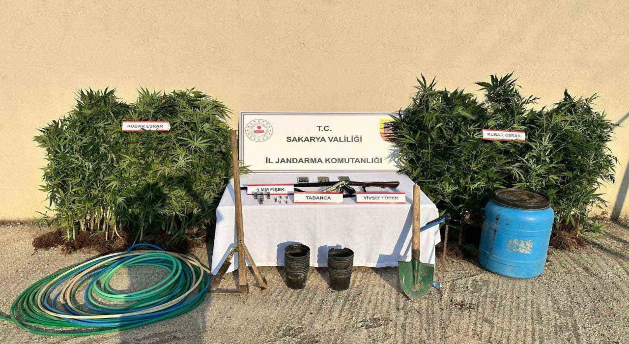 Sakaryada uyuşturucu operasyonu: 1 tutuklama