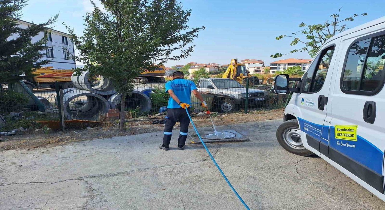 Sakaryada vektörle mücadelede yoğun çalışma