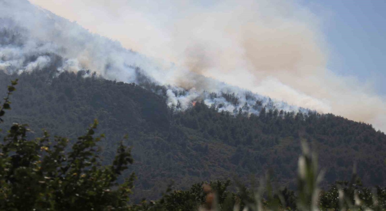 Sakaryada yangın 24 saattir sürüyor, alevler zaman zaman yeniden yükseliyor