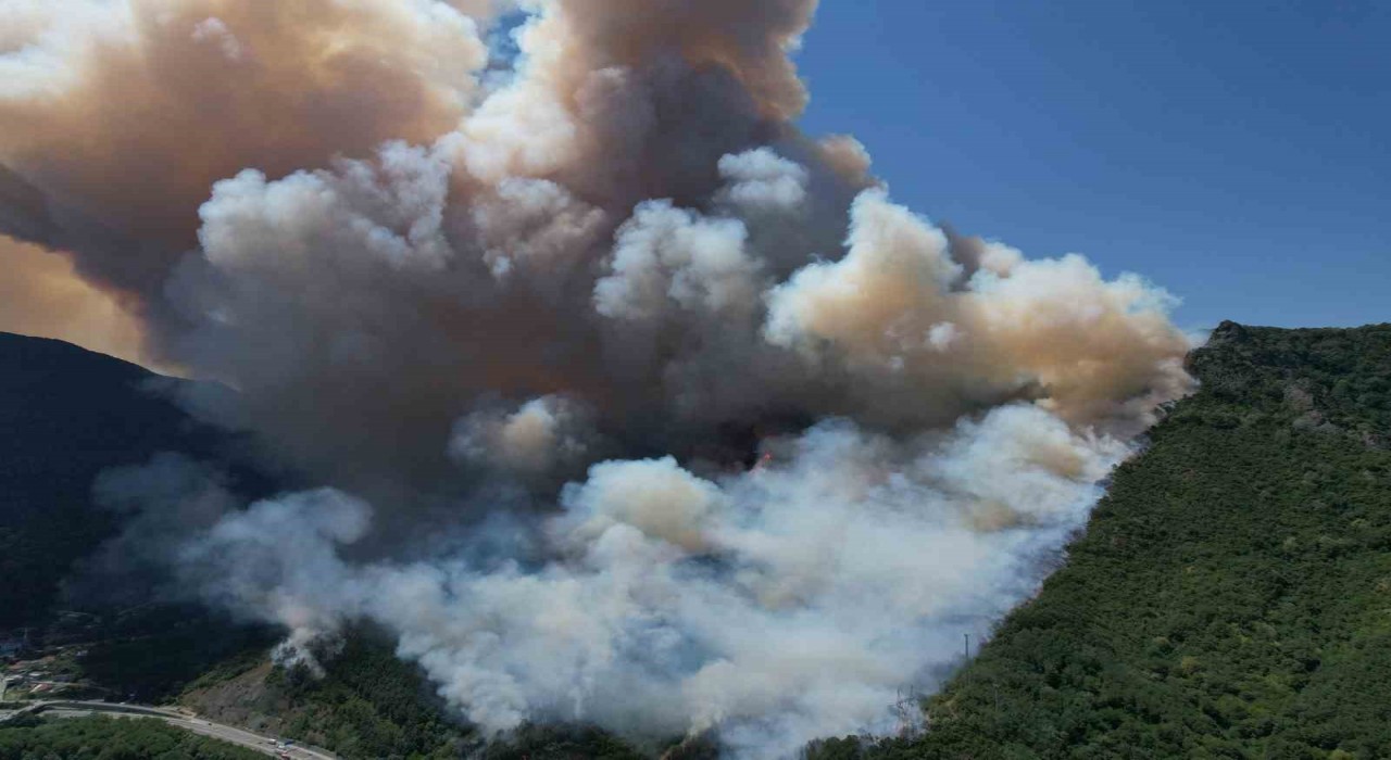 Sakaryadaki orman yangını havadan görüntülendi